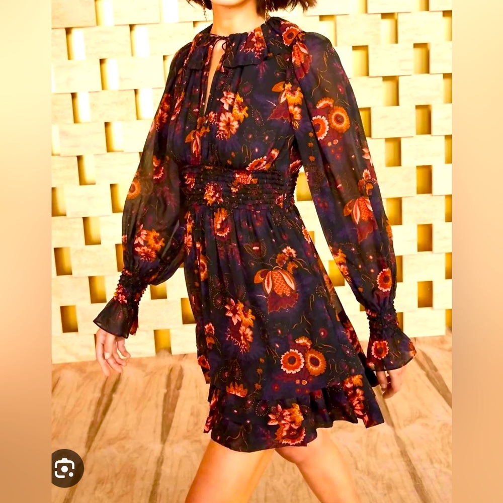 Ulla Johnson Adara Silk Chiffon Dress Sz 6